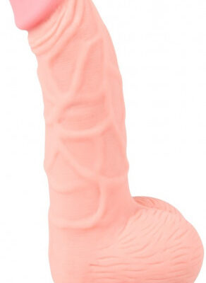 Silikónové dildo s prísavkou a semenníkmi Rich Man (20 cm) Realistické dildá Darčekový sprievodca | TOP 100 Bestsellerov