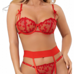 Podväzkový komplet Red Desire