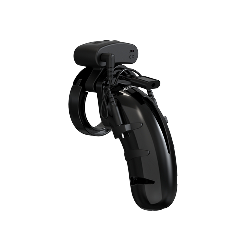 Model 22 Chastity Cock Cage with Electro (11 Model 22 Chastity Cock Cage with Electro (11