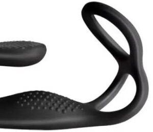 Análny kolík Rock Swing s krúžkami a diaľkovým ovládaním (27 cm) Análne kolíky s ovládačom Pre páry