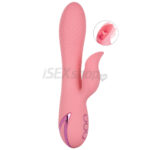 California dreaming pasadena player