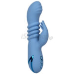 California Dreaming Santa Cruz Coaster